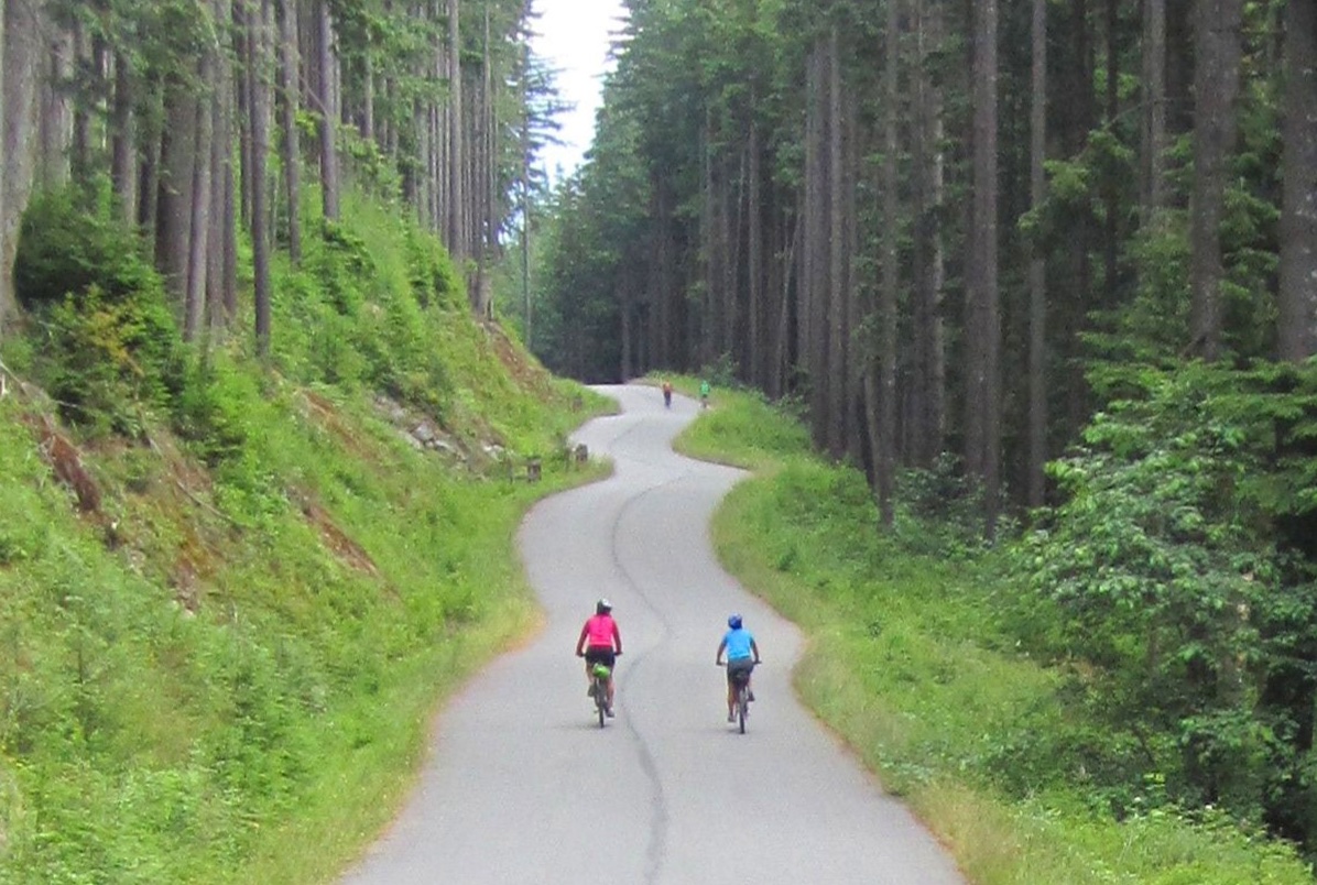 Seymour Valley + Lonsdale Brew Loop